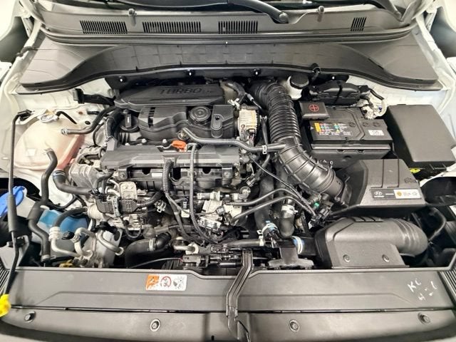 2023 Hyundai Kona Limited